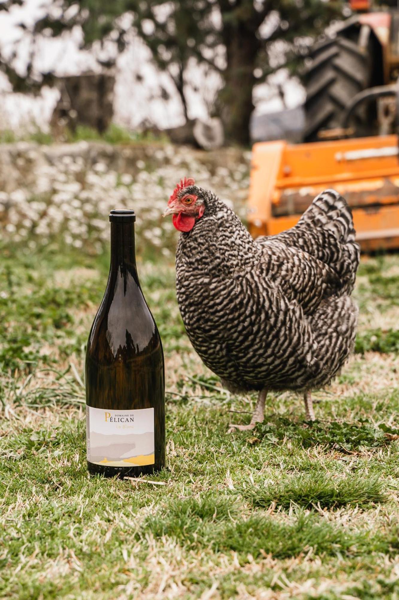 Domaine De Pelican 吉尼亚克 外观 照片