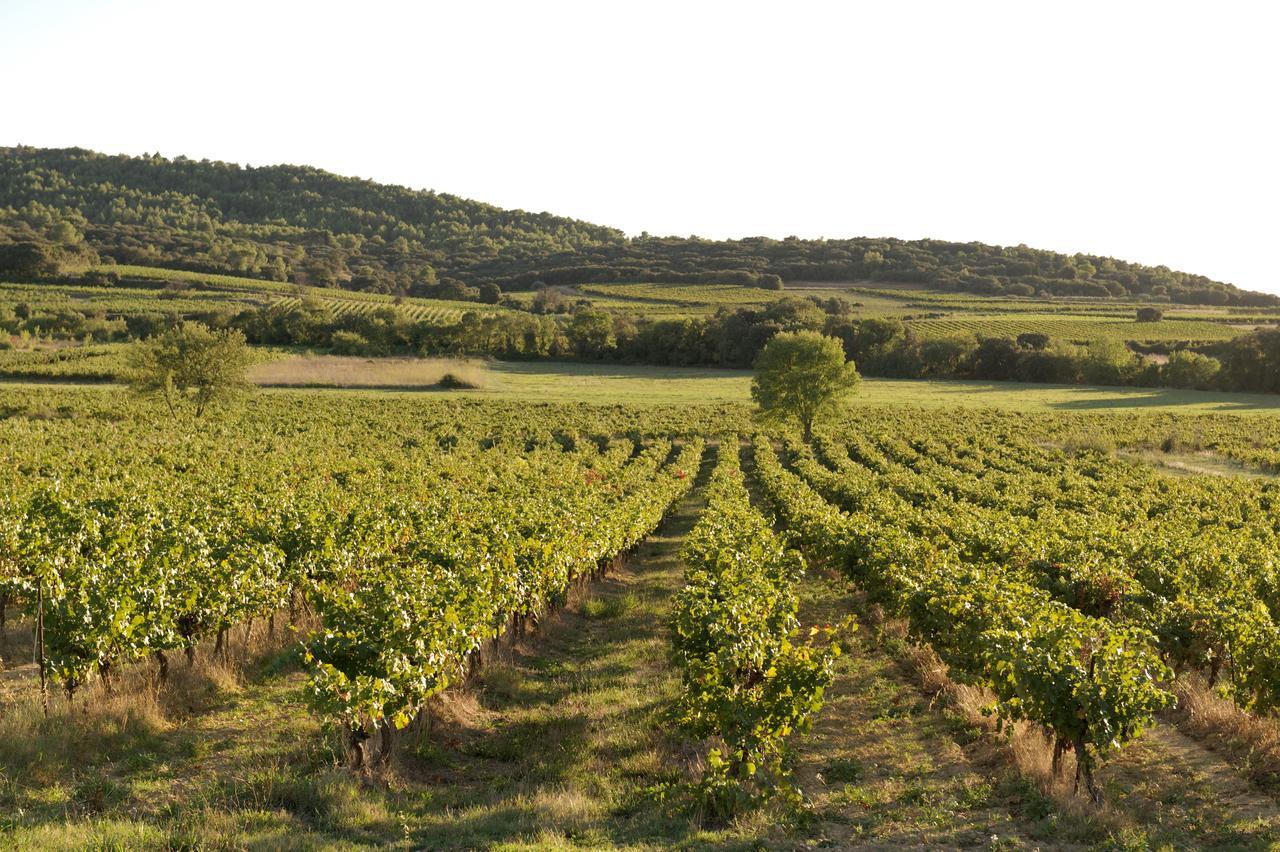Domaine De Pelican 吉尼亚克 外观 照片