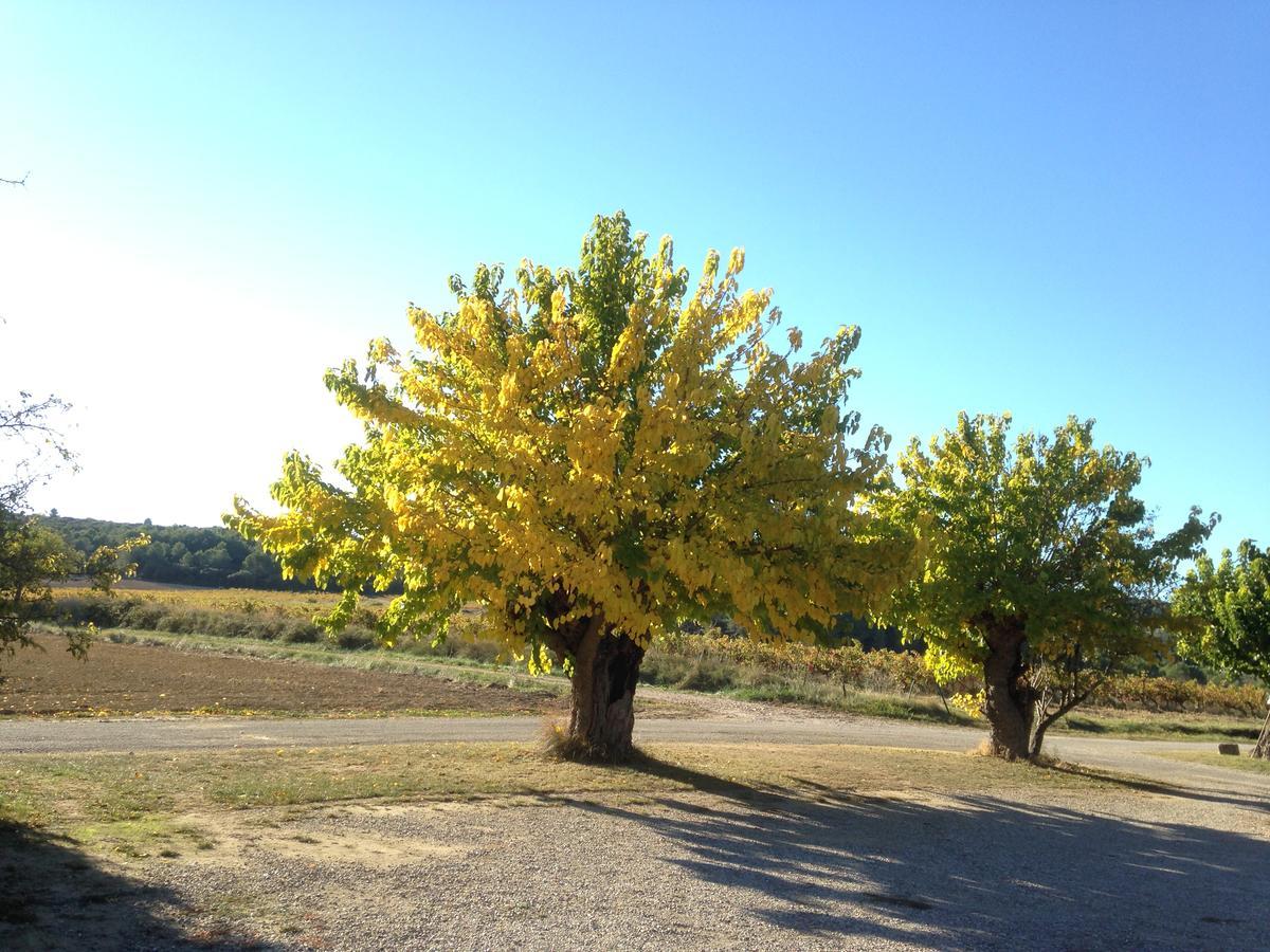 Domaine De Pelican 吉尼亚克 外观 照片